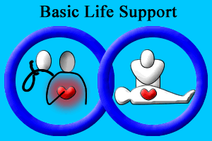 Basic Life Support Image