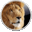 Your current OS is OS X Lion